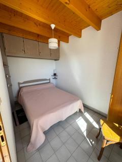 Les aigrettes - Saint-Pierre-dʼOléron - 3