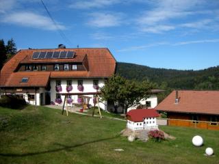 Haus Am Kreuzbühl - Wittenschwand - 8