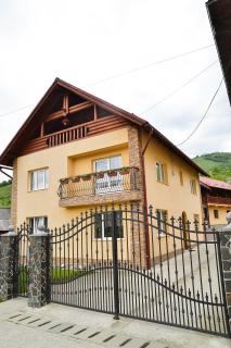 Pensiunea Dorina - Botiza - 0