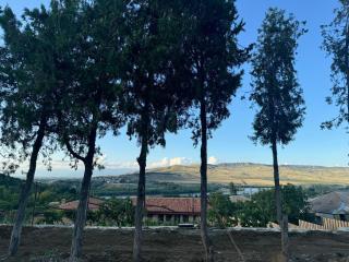 Vineyard Cottages - Khidistʼavi - 2