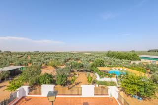 Casa Rural Los Miradores - Marchena - 7