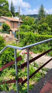 La casa delle rose - Sassetta - 7