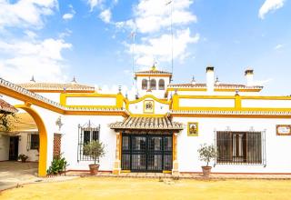 Hacienda El Corchuelo en Marchena - Marchena - 5