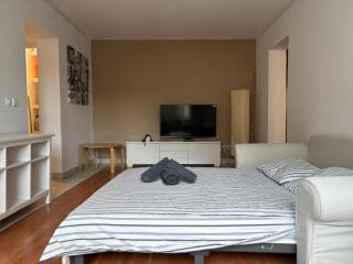 Central Elegance Apartment - Timişoara - 9