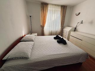 Central Elegance Apartment - Timişoara - 6