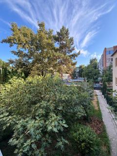 Central Elegance Apartment - Timişoara - 4