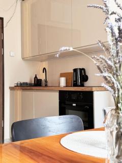 Unique apartment City Center - 9