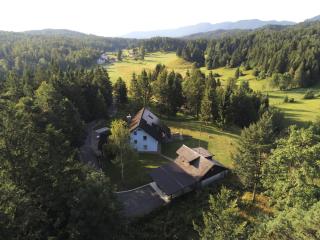 Počitniška hiška v gozdnem raju - 7