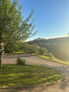 green breeze - Žalec - 1
