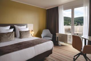 Leonardo Hotel Heidelberg City Center - Heidelberg - 7