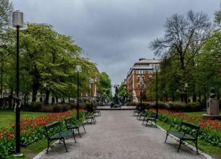 Guldgränd - Stockholm - 7