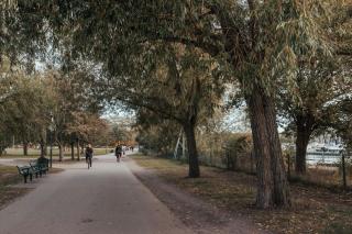 Guldgränd - Stockholm - 5