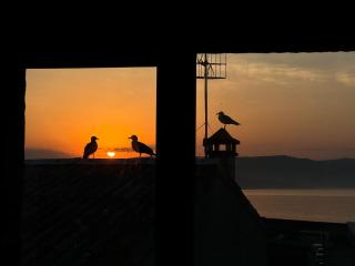 Casa Real 43 - Finisterre - 9
