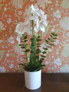 Château de Lacenne - 6