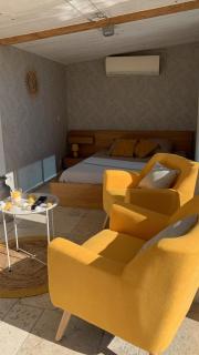 Studio piscine 2 personnes - Uchaux - 9