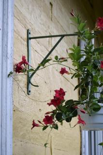 Apartament w zabytkowym budynku - 6
