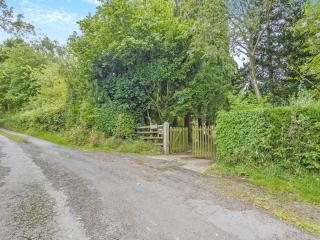 Steep Holm - Kington - 2