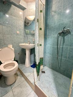 Avchieva's apt on Mashtots Ave - Erevan - 7