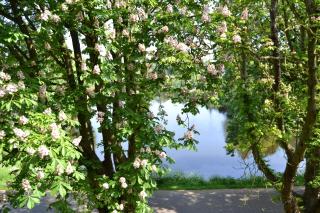 Veerpoort Doesburg - Doesburg - 9