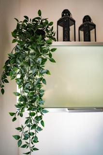 Casa Vacanze La Petite - Delizioso bilocale a due passi da centro e mare - 4