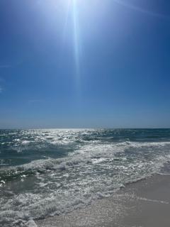 Dolphin's Den - Panama City Beach - 9