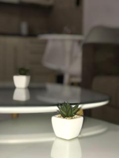 Apartman Savic 2 - Bijeljina - 1