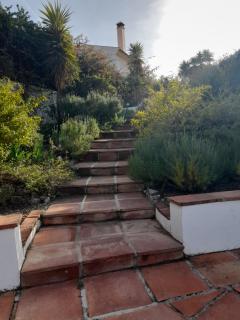 Casa Siempre Verde - Andalucia - Alcaucín - 6