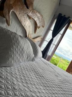 Finca turística CASA MARELLA Alojamiento Rural Pereira Risaralda - Pereira - 3