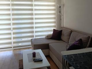 Apartman Sara S - Veliko Gradište - 9