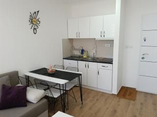 Apartman Sara S - Veliko Gradište - 5