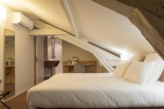 Brit Hotel Mâcon Centre Gare - Mâcon - 6