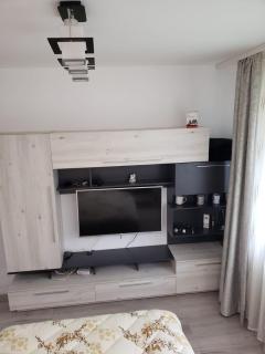 Cosy Flat - Baciu - 4