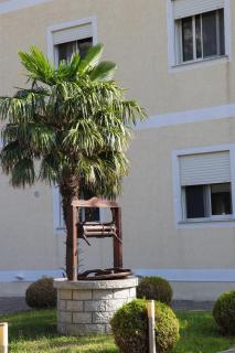 Villa Apet 23 - Shkodër - 5