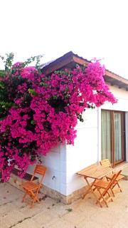 Kavurlukoz Butik Apart - Karaburun - 2