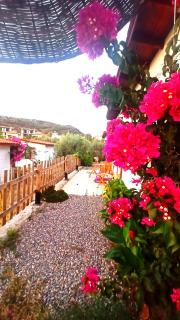 Kavurlukoz Butik Apart - Karaburun - 5