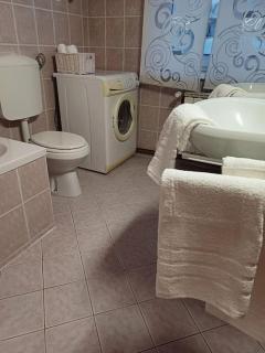 City Center Apartment Gustin - Maribor - 9