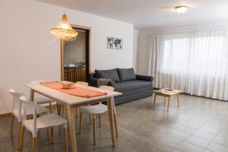 Departamento de Montaña ARRAYAN, centro 1 hab y sofá cama - 9