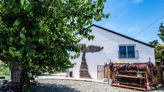 Suites con Vista Panoramica e Home Restaurant - Pet Friendly nel Monferrato - 2