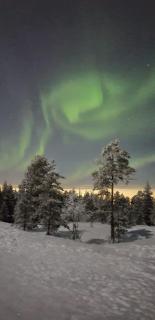 Cozy Arctic Heart - Rovaniemi - 1