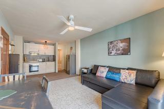 Emerald auténtic canary apartment - Arona - 6