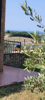 Agriturismo Il Poggio - Casale Marittimo - 7