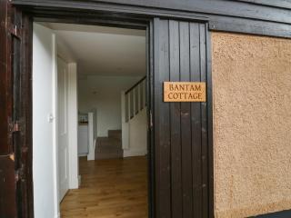 Bantam Cottage - Ottery St Mary - 8