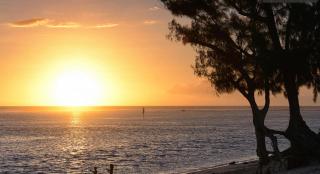 Etoile de la mer - 2