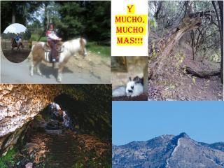Tlali Nantli Ecoturismo - San Miguel Ajusco - 2