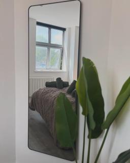 Groovy City Centre King Suite - Free Gym! - Leicester - 6