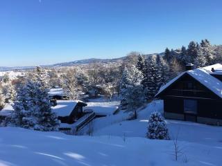 Villa suitable for 8 during XC championship - Trondheim - 6