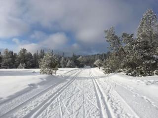 Villa suitable for 8 during XC championship - Trondheim - 2