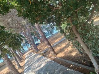 Makineia Sea Side House -  - 1