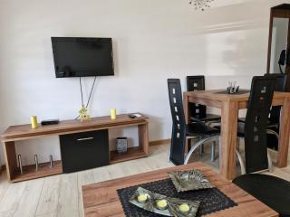 Apartman Curcic 1 - Soko Banja - 4