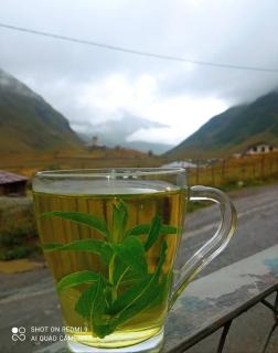 Guest House Cafe Nita - 1